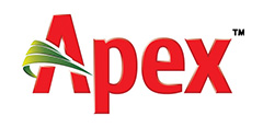 Apex 02